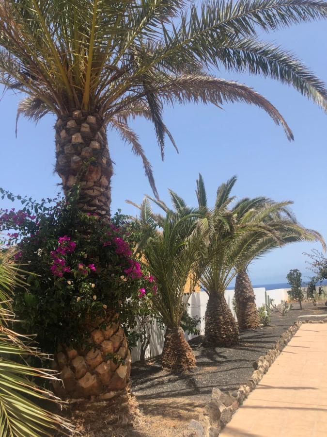 Apartamento La Tortuga De Fuerteventura Costa De Antigua Kültér fotó