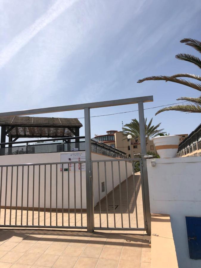 Apartamento La Tortuga De Fuerteventura Costa De Antigua Kültér fotó